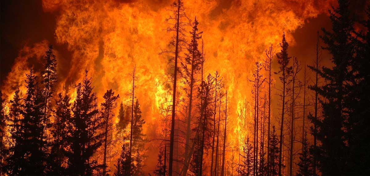 Extreme Hitze und Waldbrände in Urlaubsregionen als Stornogrund