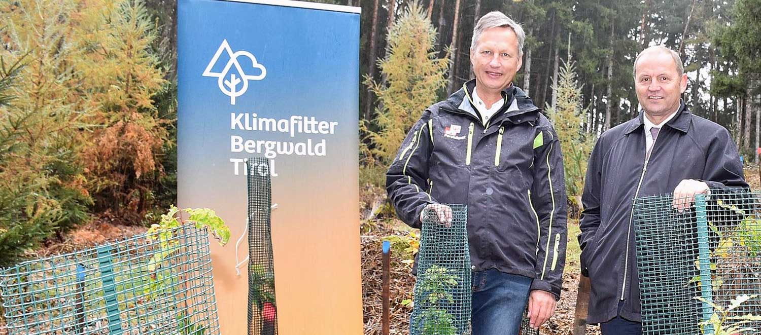 Klimawandelanpassung im Tiroler Wald geht voran