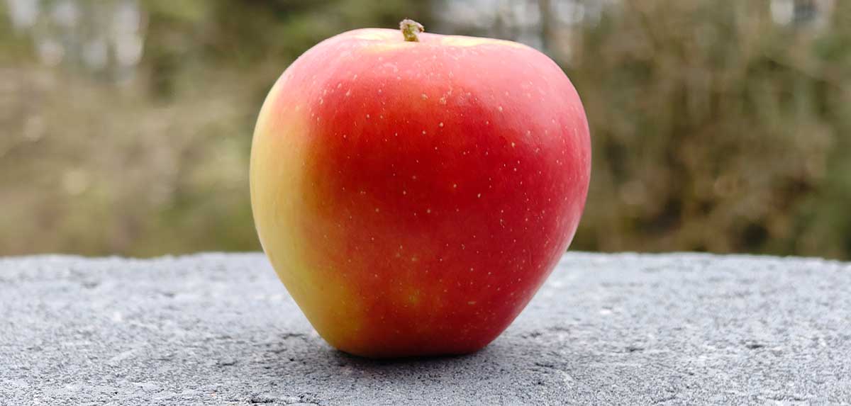 Regionalitäts-Check: Woher kommen Bio-Produkte im Supermarkt?