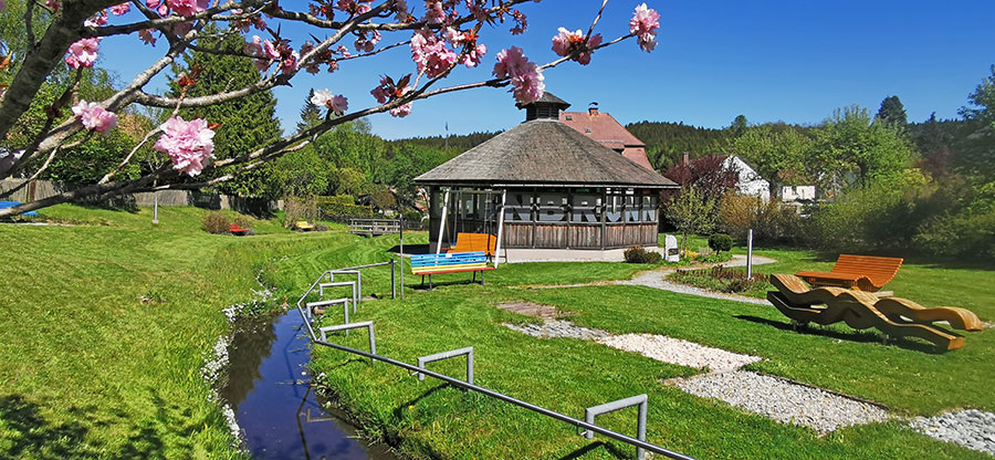 Gutenbrunn, ein Ort voller Energie und Weitblick…