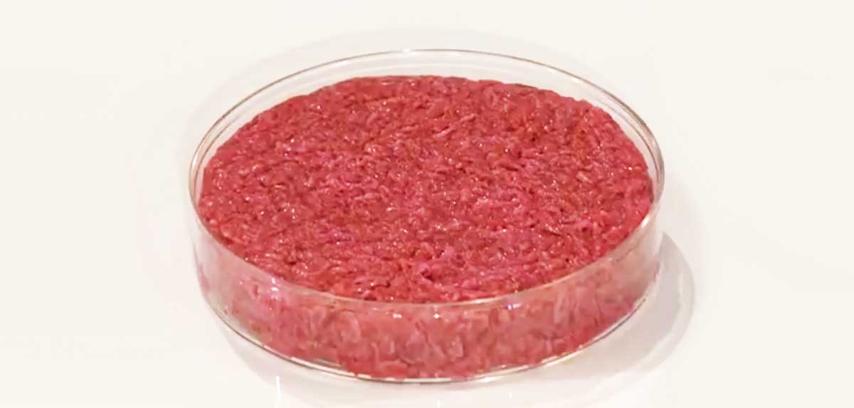 Laborfleisch gehört nicht auf europäische Teller