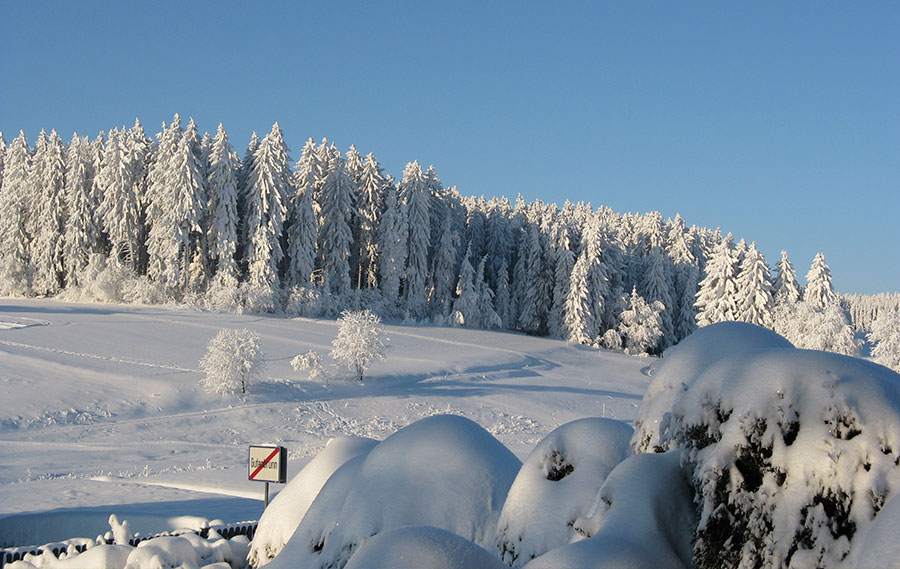 Gutenbrunn Winter