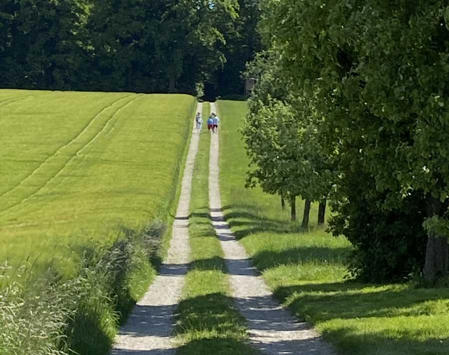 Winklarn