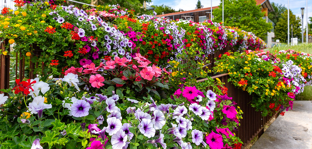 Marktgemeinde Lannach